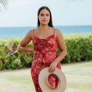 Noeau ʻōhiʻa Lehua Hoʻonani Dress